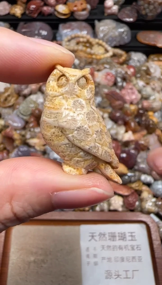 硅化珊瑚（珊瑚玉）未镶嵌颈饰308
