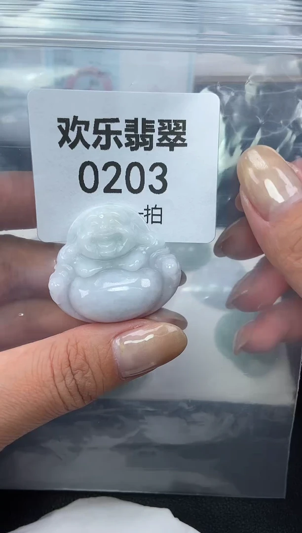 颈饰未镶嵌翡翠缅甸天然翡翠0203