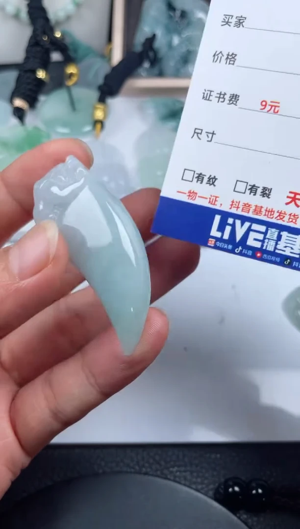 颈饰未镶嵌翡翠