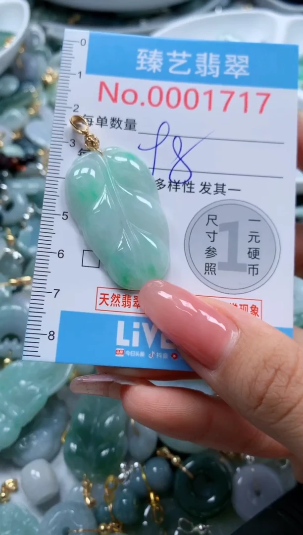 翡翠未镶嵌颈饰1717