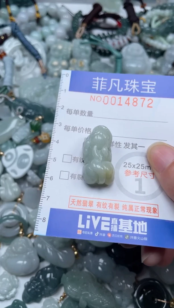 颈饰未镶嵌翡翠14872