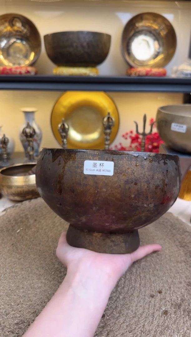 【闪购商品】圣杯 17.5 A、、、、、、