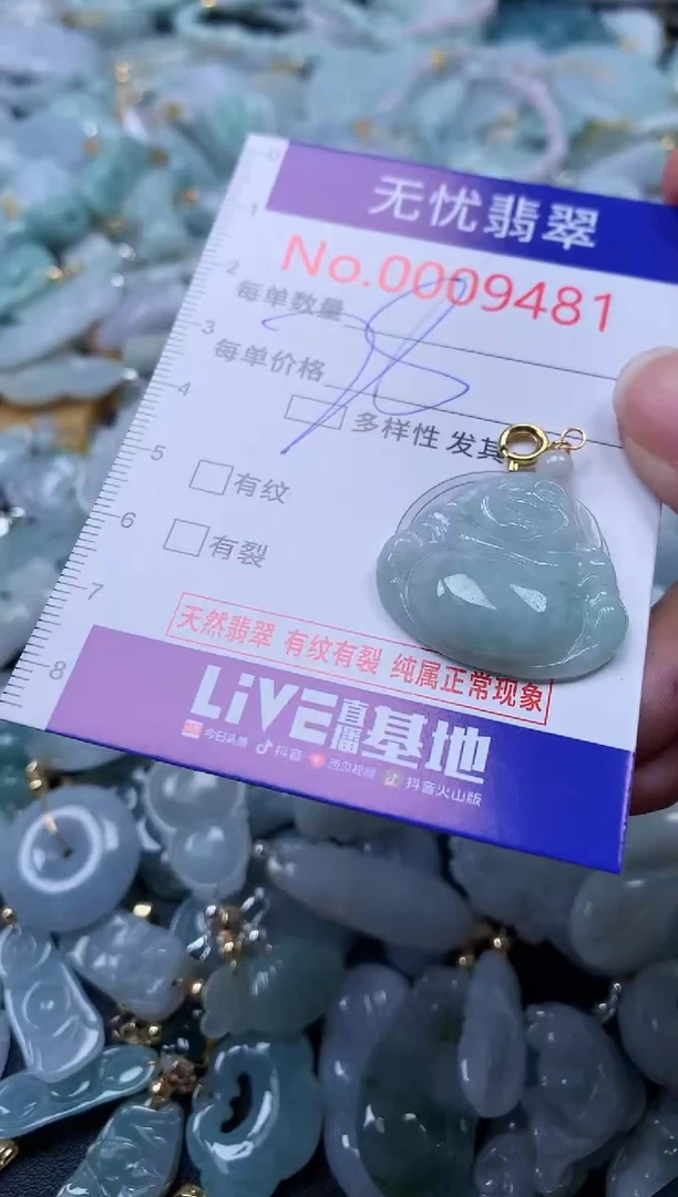 翡翠未镶嵌吊坠(不含链)9481