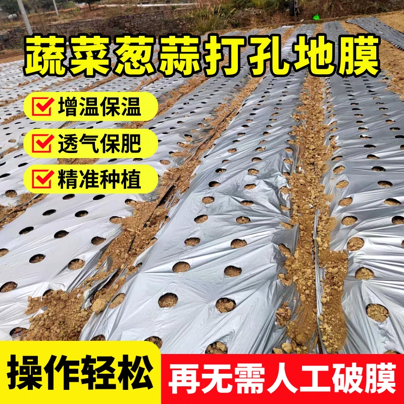 银黑双色免打孔有孔农用除草种植地膜适用于多种作物
