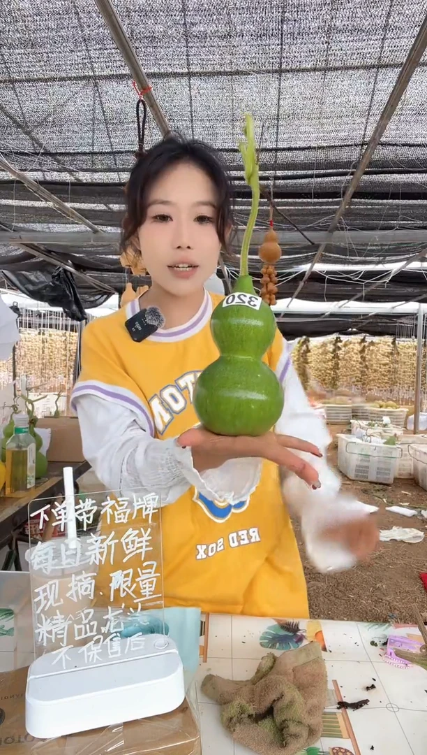 320天然葫芦摆件 一物一拍龙头不保售后
