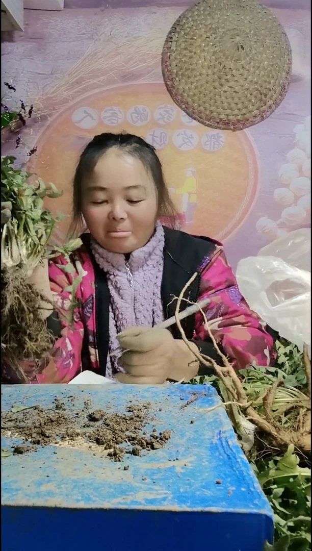 少量花朵（建议范围：2朵-5朵 或40%以下）秋***忆蒲公英