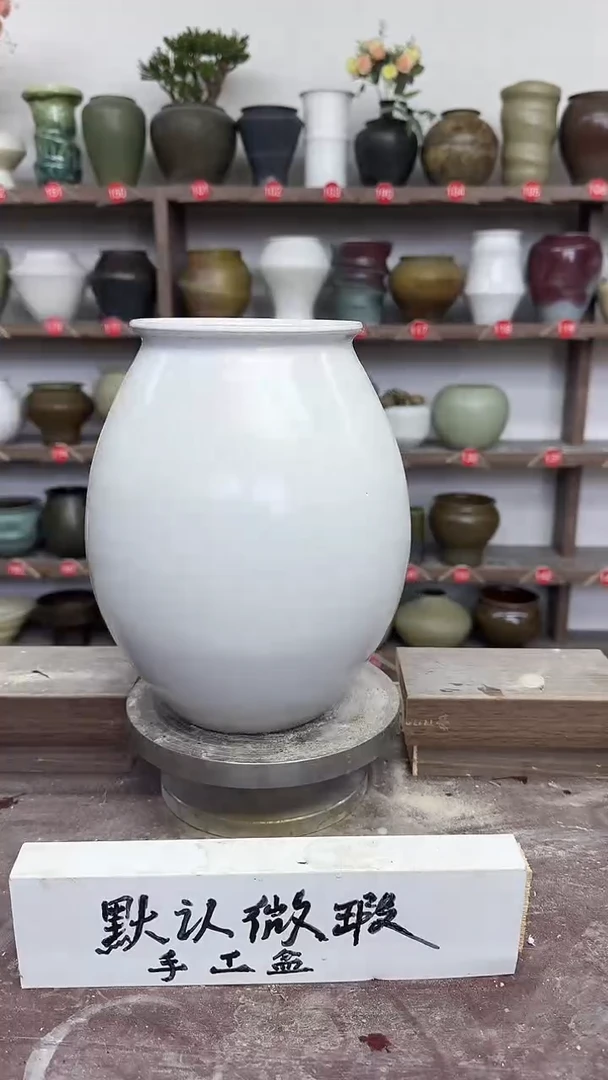 【闪购商品】陶瓷24-高24口11瑕