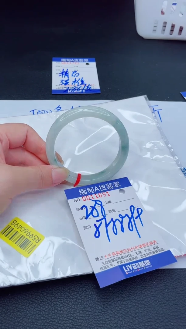 未镶嵌手镯翡翠我t1