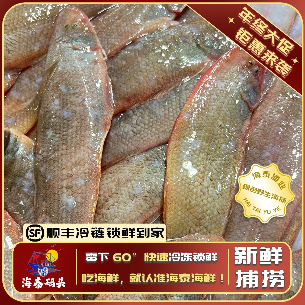 【阿曼专属】【大龙利鱼】海泰码头 深海捕捞鲜活 锁鲜冷链到家