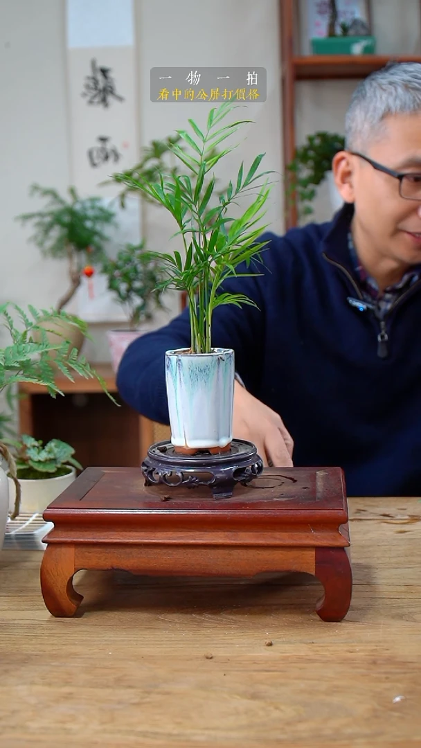 完全开放星**?椰子478