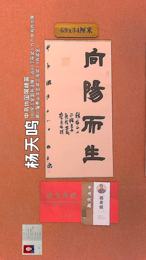【闪购商品】书法61        杨天鸣书法作品