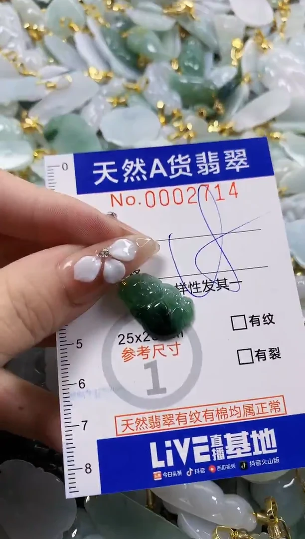 颈饰未镶嵌翡翠天然A货翡翠