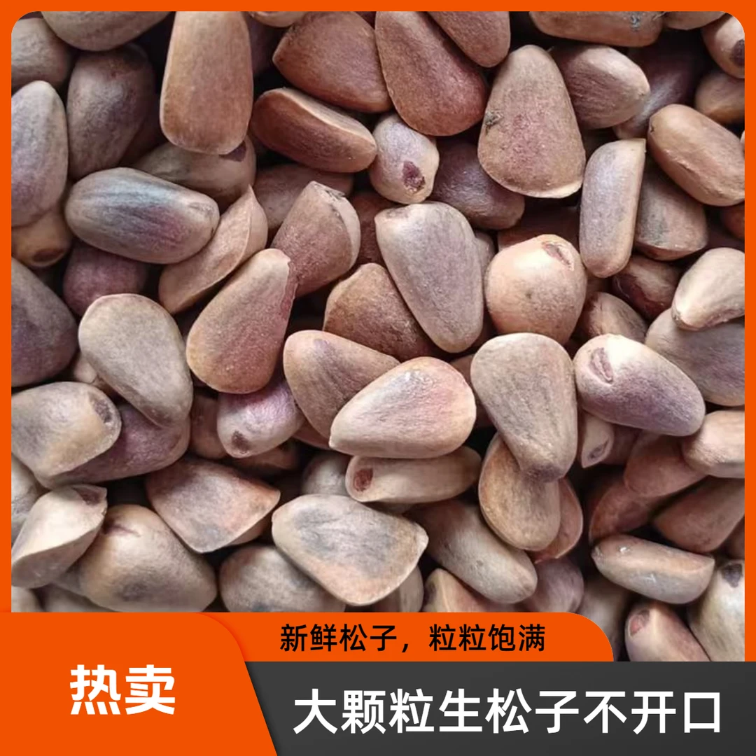 东北生松子不开口大颗粒500克