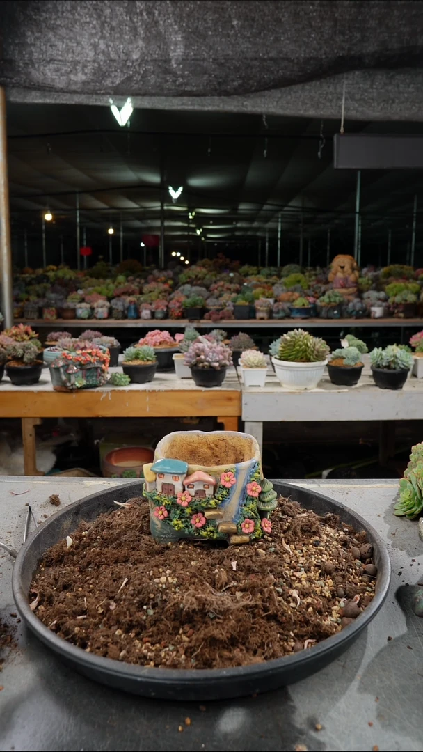 过**店5221号         盆