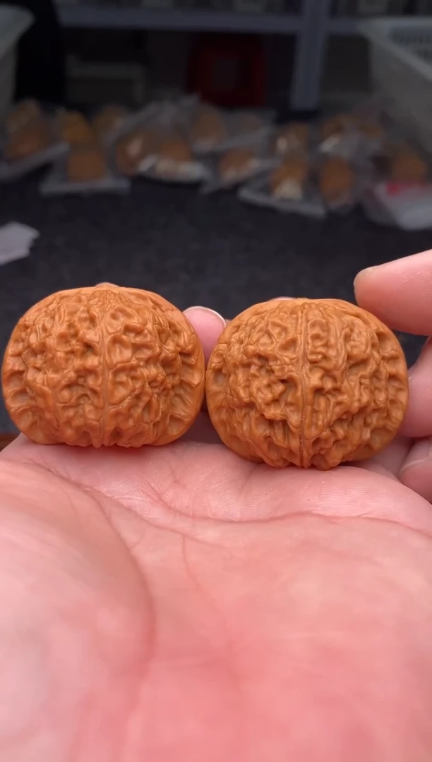 把件文玩核桃b203号41尺血麒麟