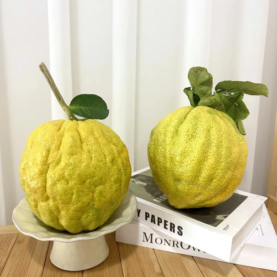 云南香橼果摆件天然香薰香橼居家-威果