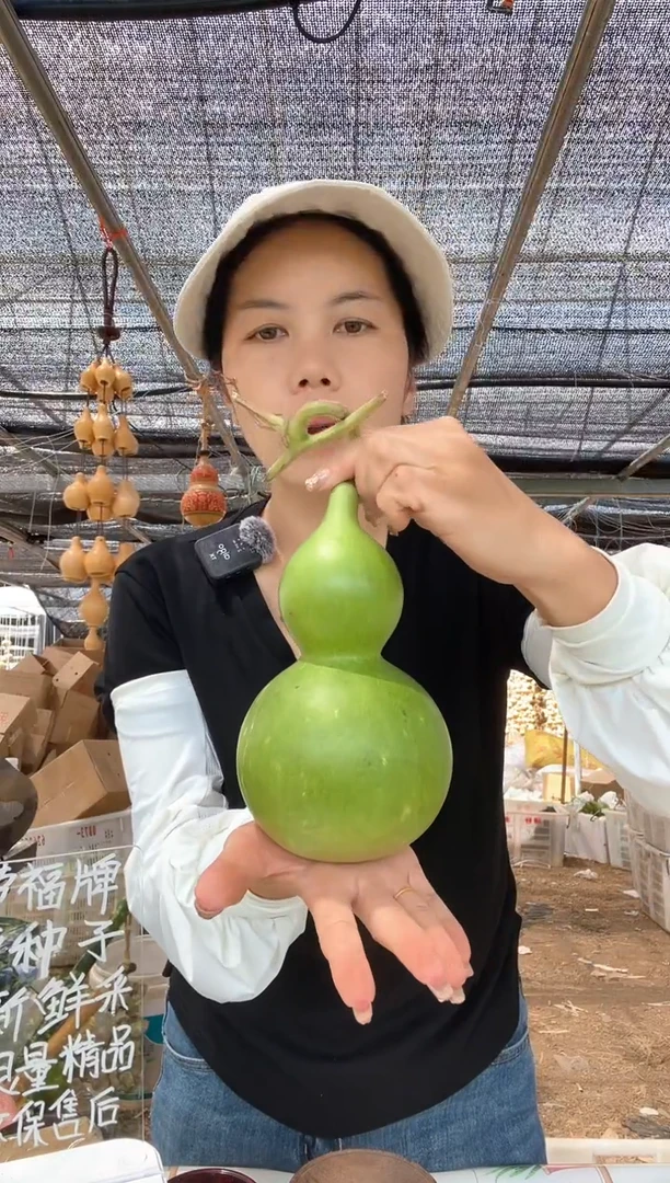 902天然葫芦摆件 一物一拍龙头不保售后