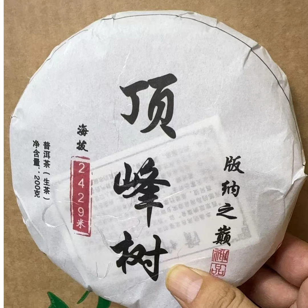 7月17日 200克 25年 滑竹梁子顶峰树 Y2211