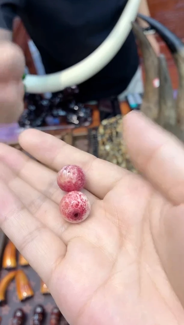 猛犸猛犸++++++24单颗