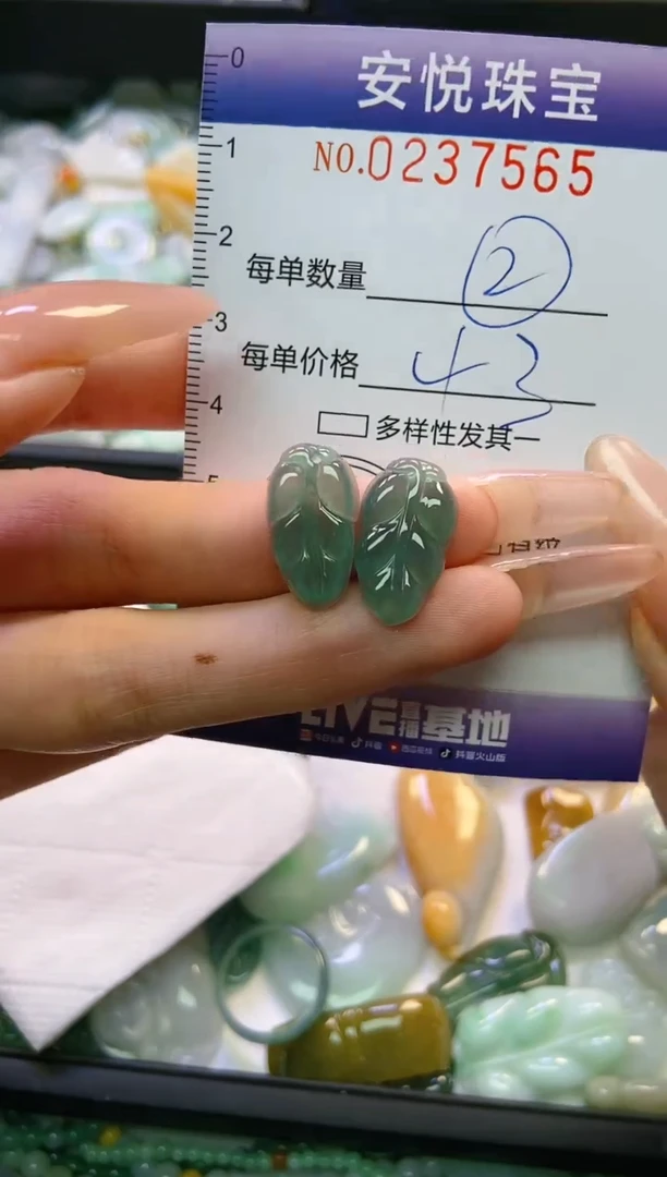 翡翠未镶嵌颈饰闪购0237547