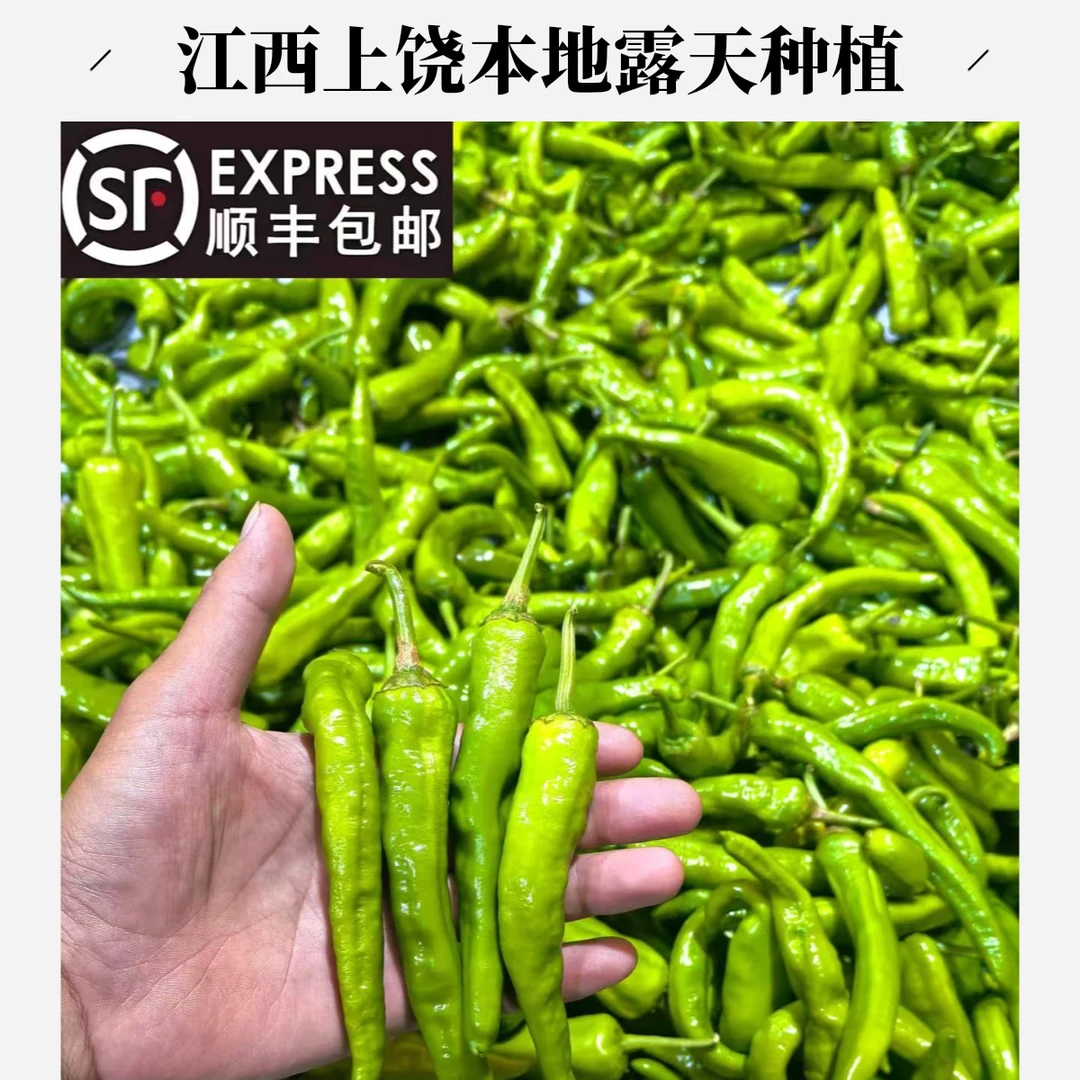 【农家土辣椒】江西上饶本地露天种植辣椒