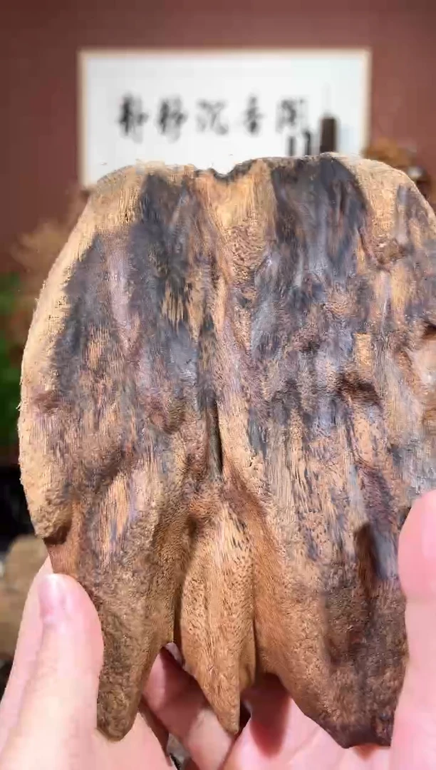 沉香吊坠26号红土多样性发一