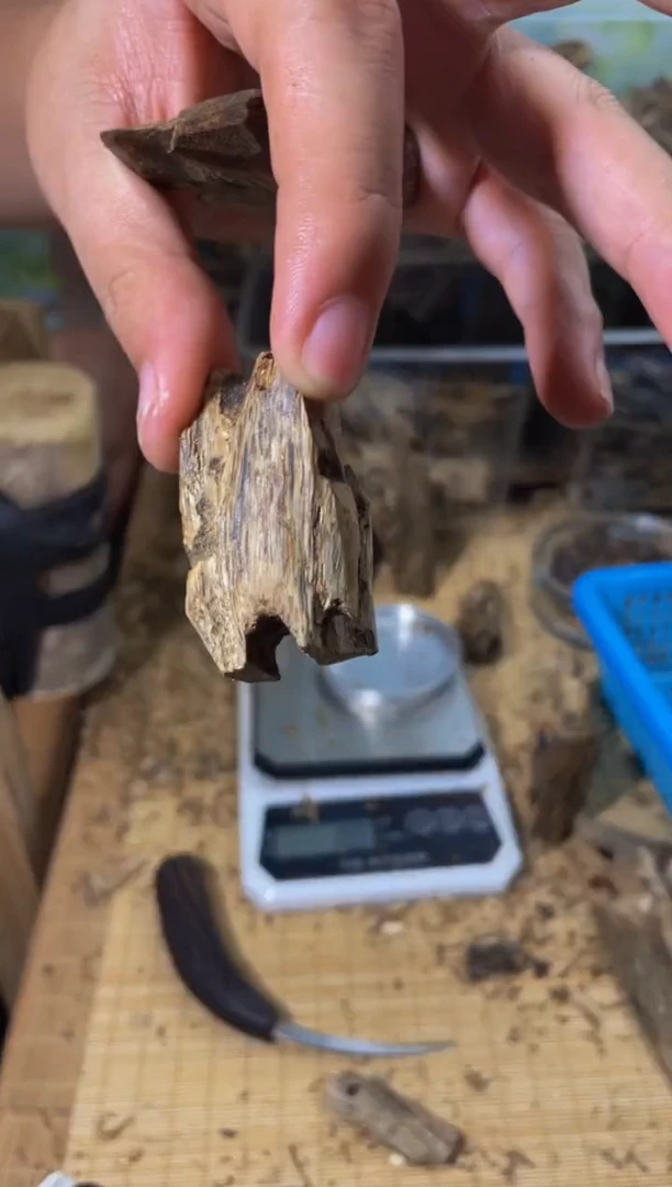 沉香碎屑沉香克89