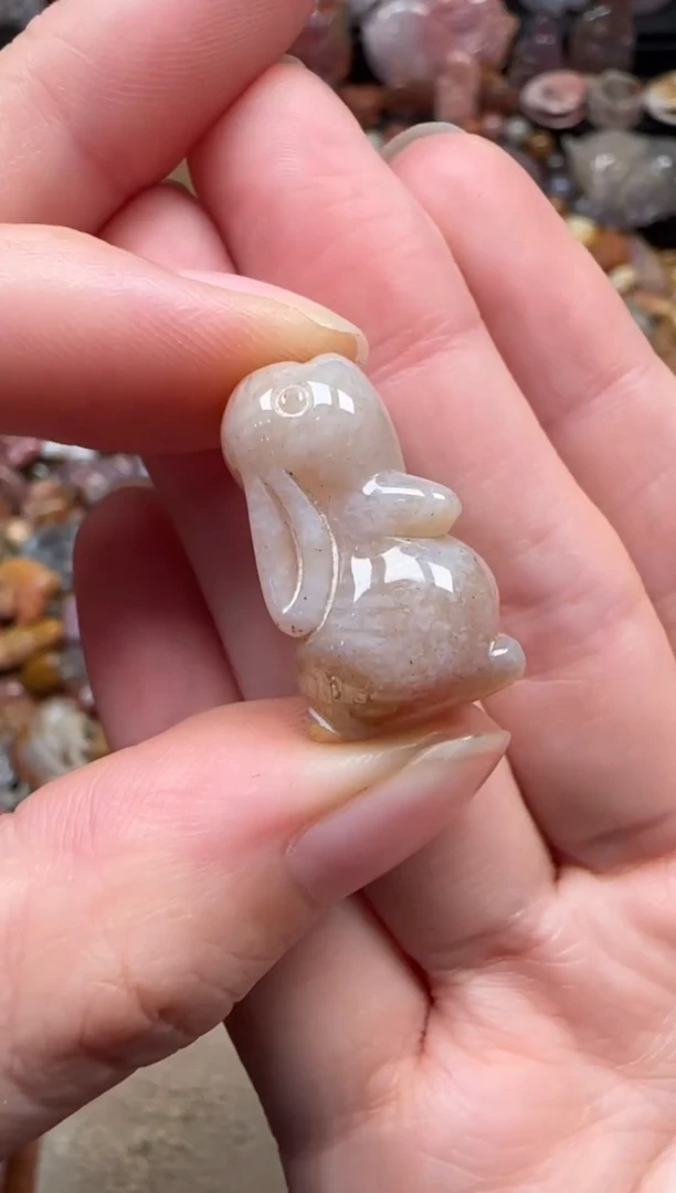 颈饰未镶嵌硅化珊瑚（珊瑚玉）777