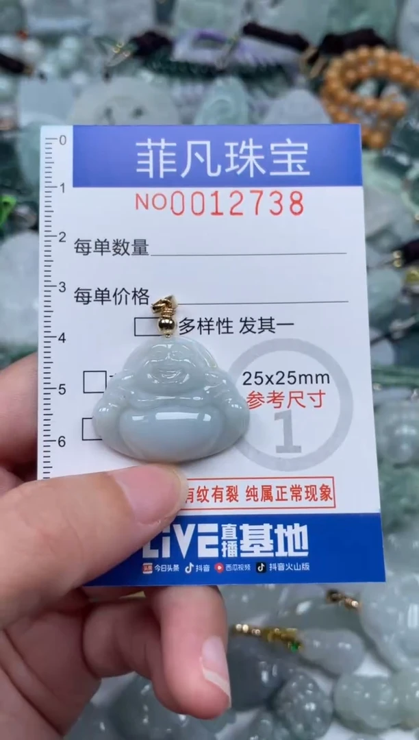 颈饰未镶嵌翡翠12738