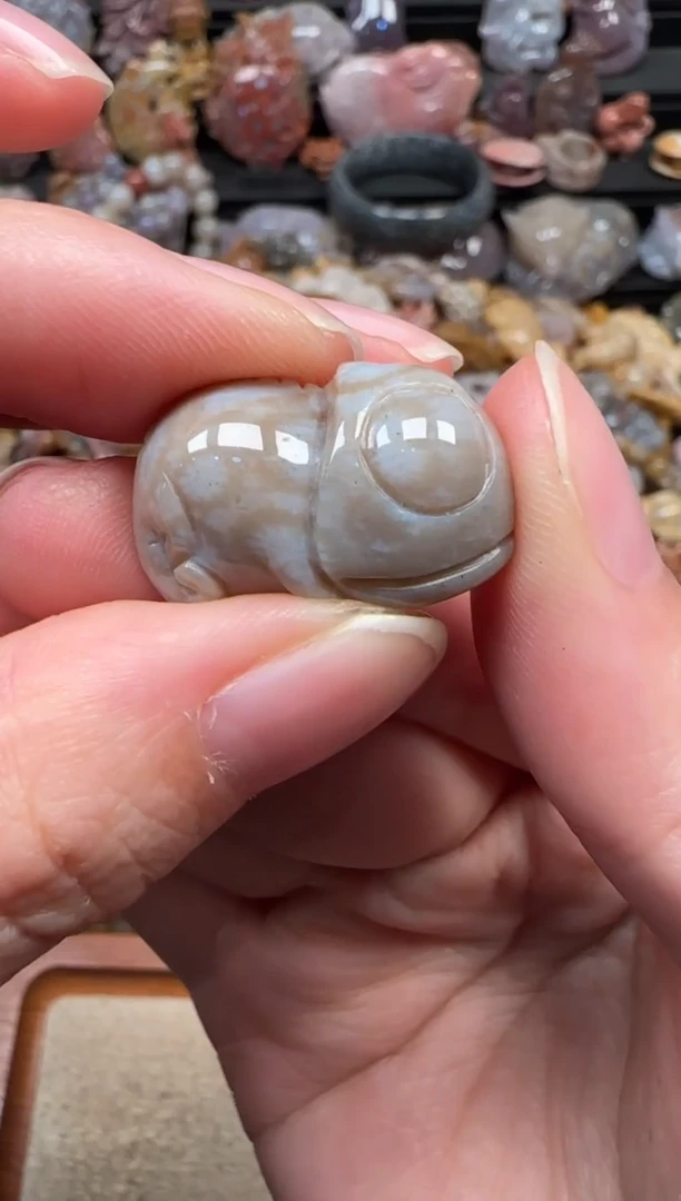 颈饰未镶嵌硅化珊瑚（珊瑚玉）317