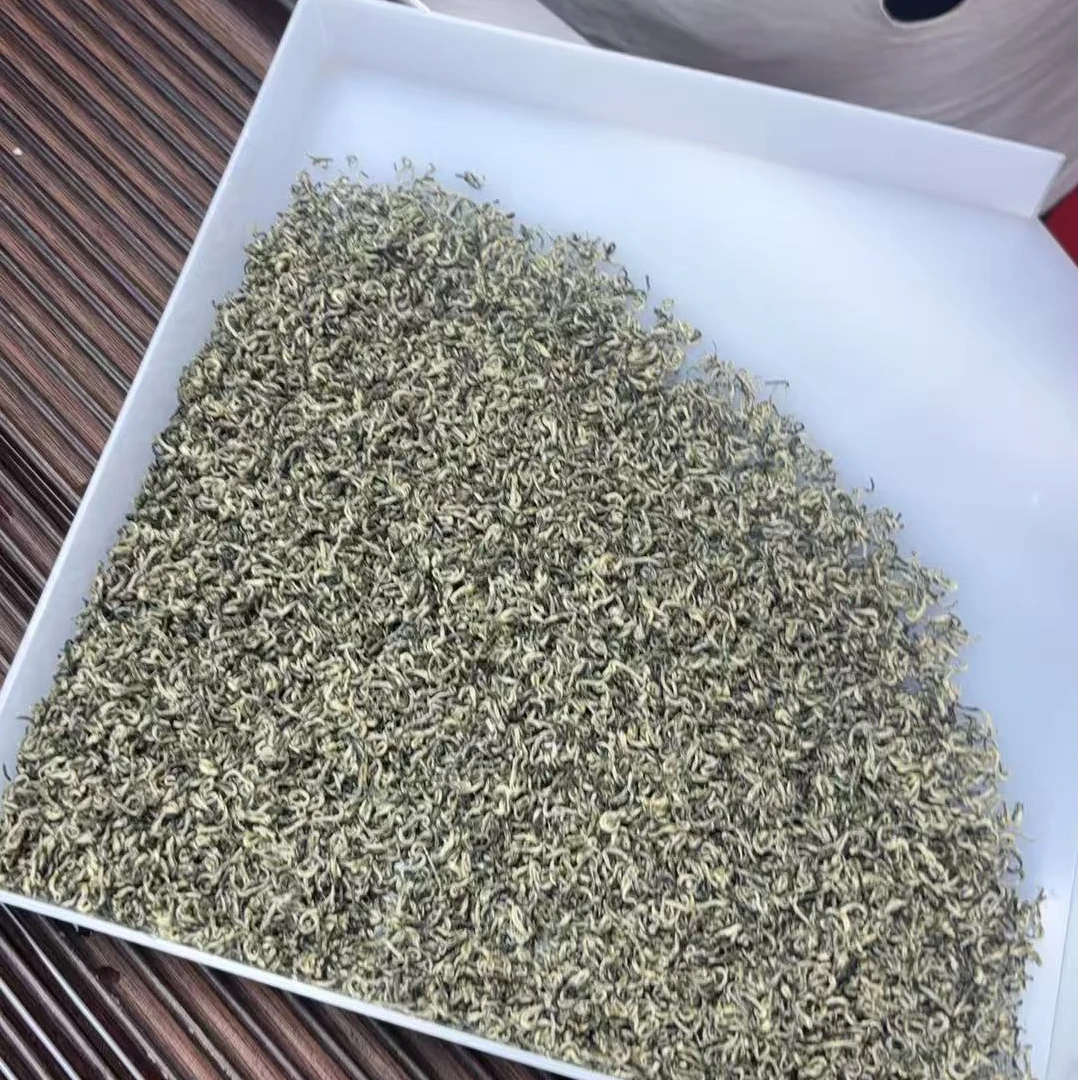 2025年新茶碧螺春嫩芽花香浓郁鲜醇