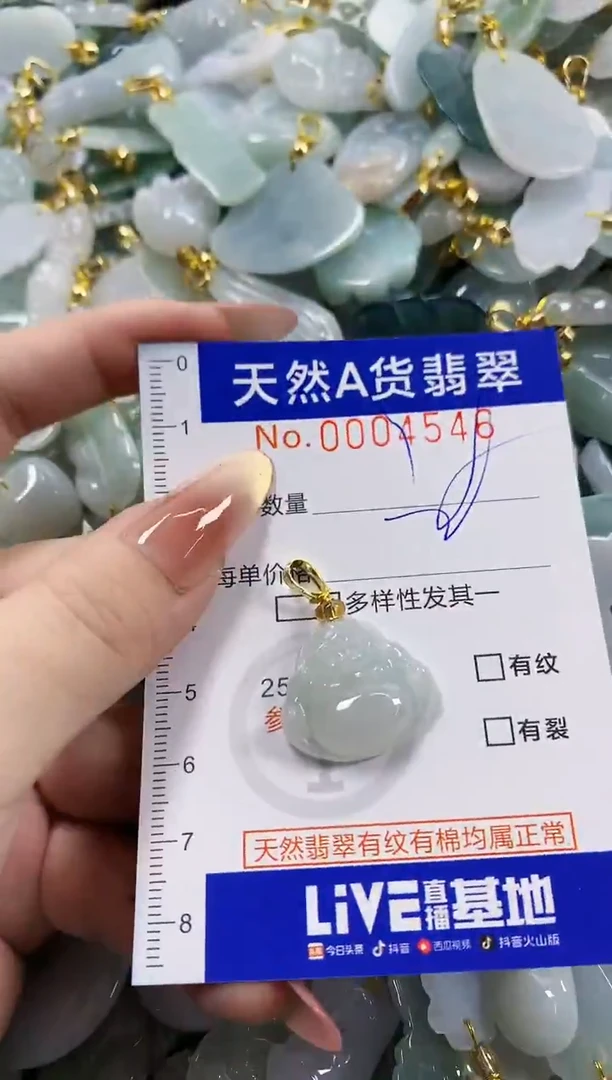 颈饰未镶嵌翡翠天然A货翡翠