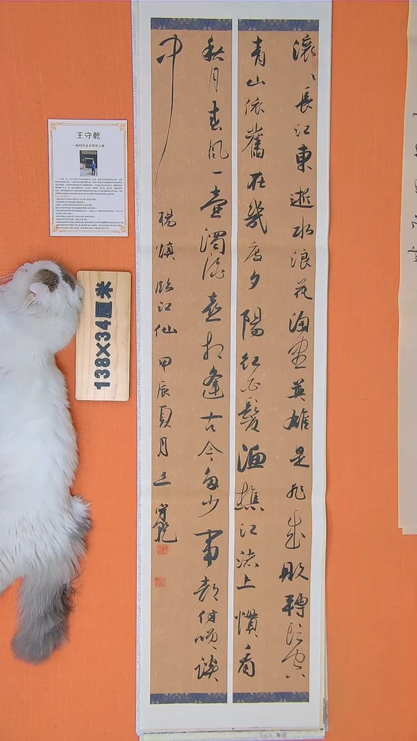 书法王老师书法作品138*34临江仙