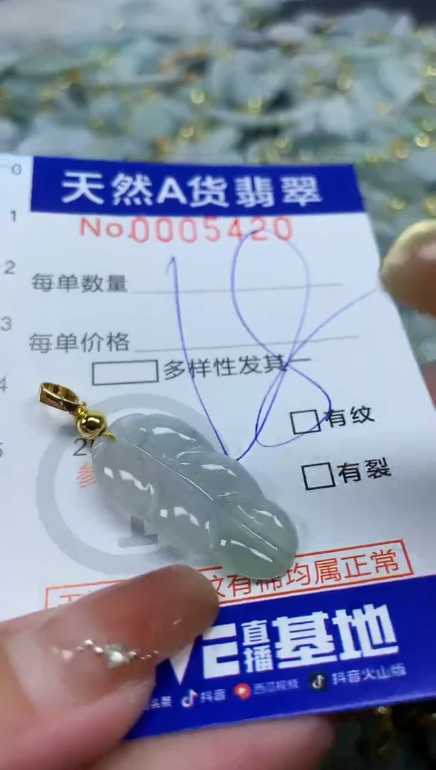 颈饰未镶嵌翡翠天然A货翡翠