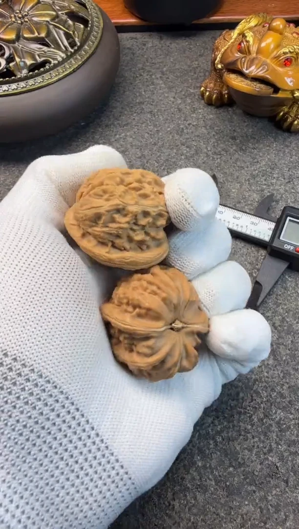 麻核桃文玩白狮子38+