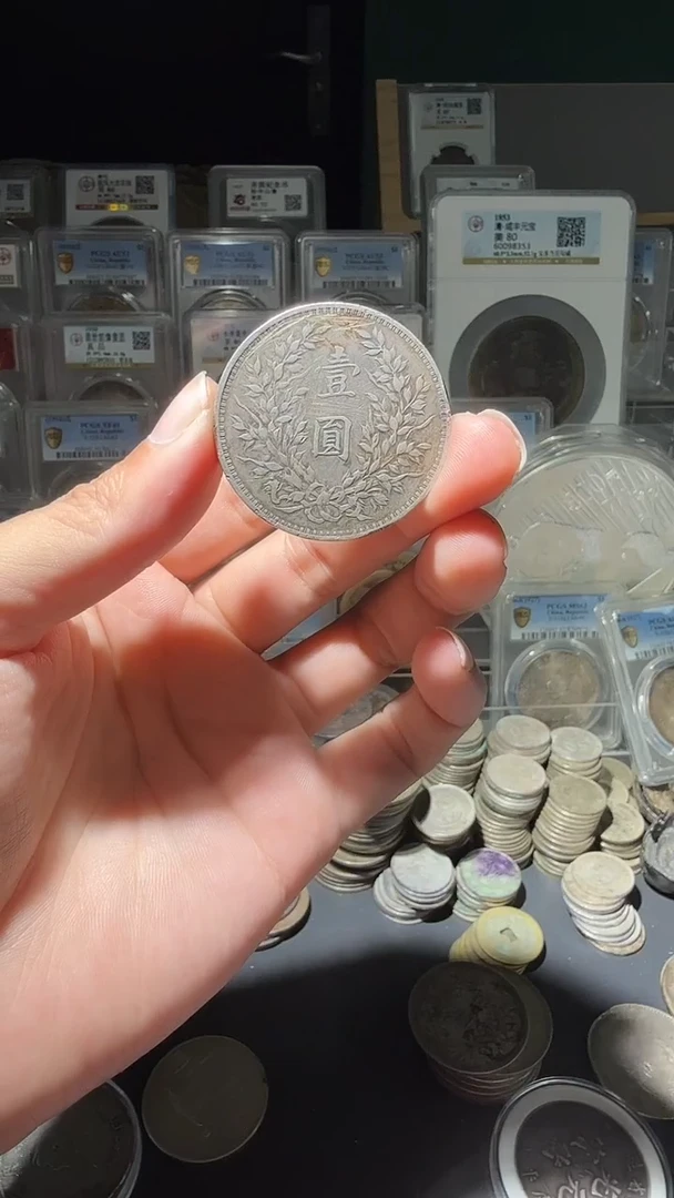 大叶紫檀（黑酸枝木类）直*333333333