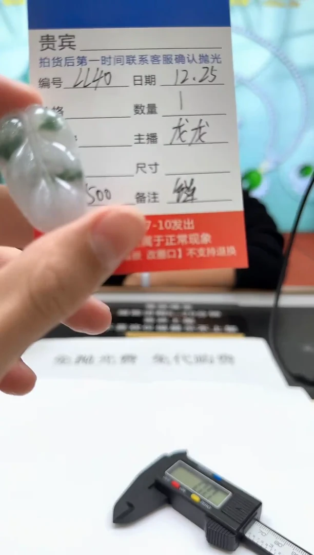 未镶嵌定制翡翠LL40翡翠吊坠赠珠链-多样性发其一