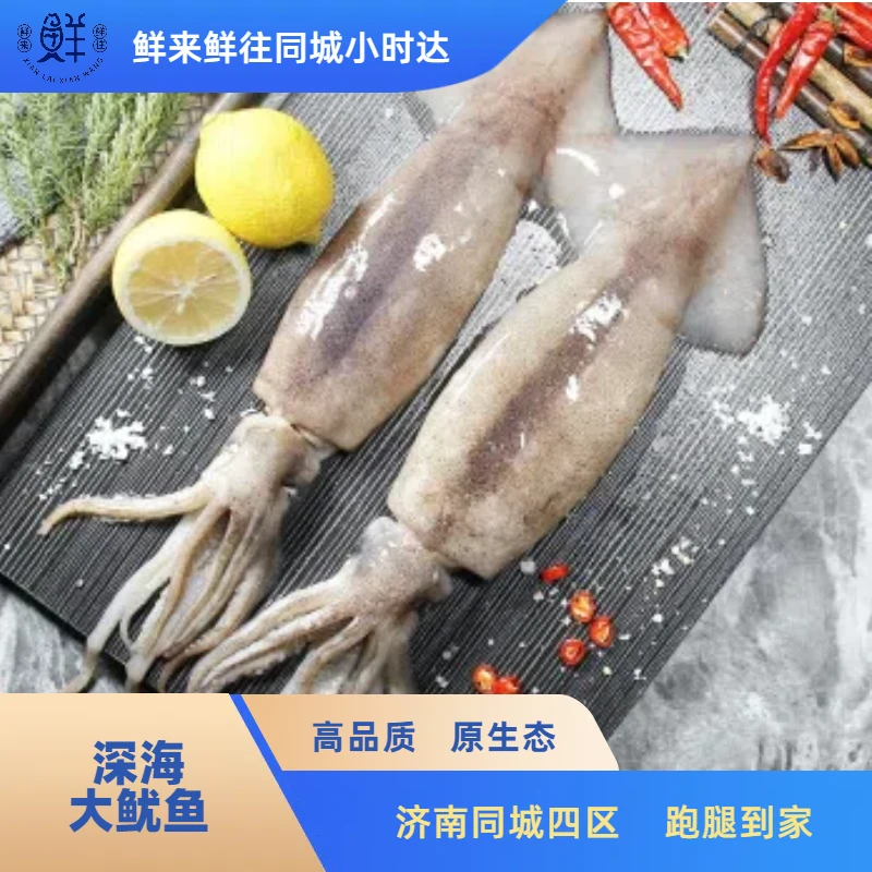 【鲜冻】深海大鱿鱼  1条  约450g