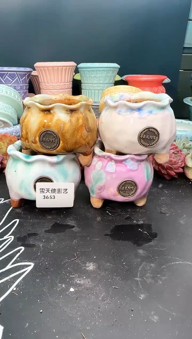 3  663景天盆 4个 默认微瑕