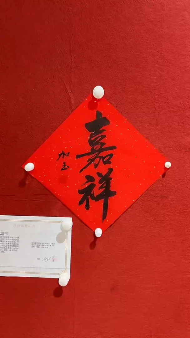 书法何加玉老师 1平尺书法