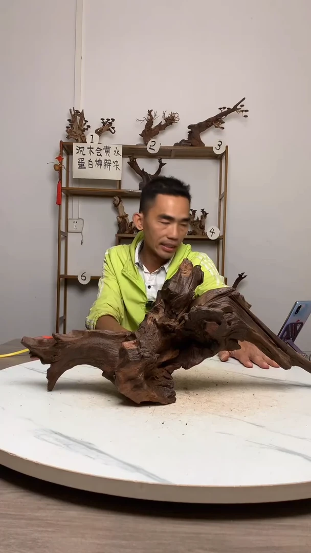 野***娃鱼缸造景沉木摆件