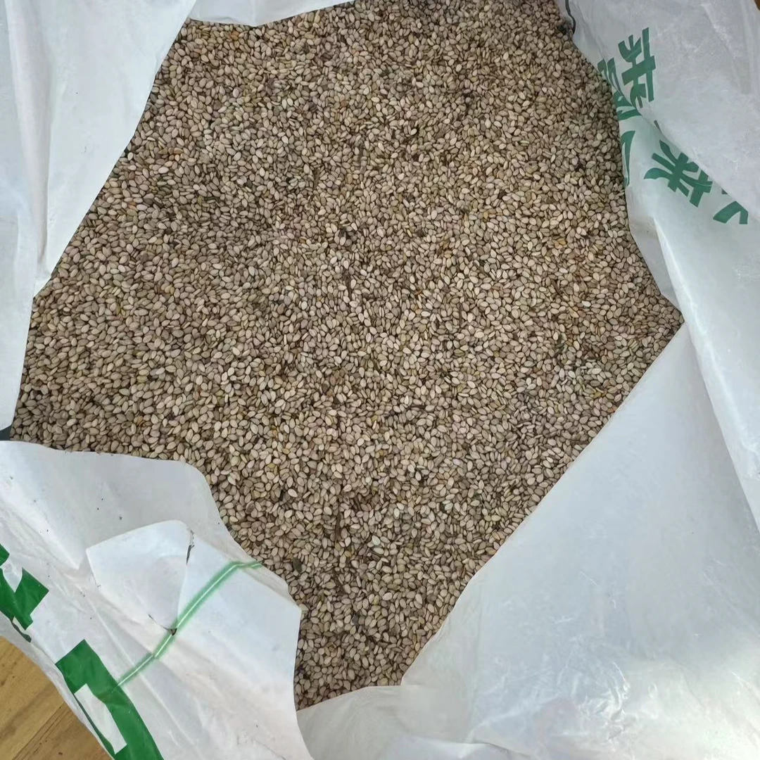 农家自种白芝麻自养