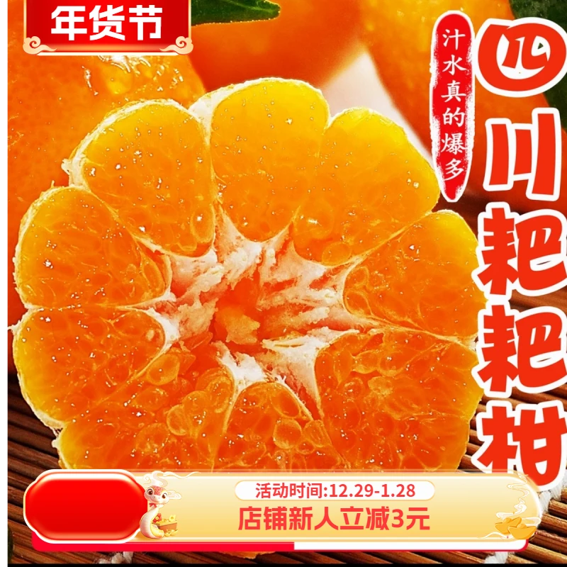 【自然成熟】正宗四川春见耙耙狂欢季柑老树新鲜水果当季爆汁香甜