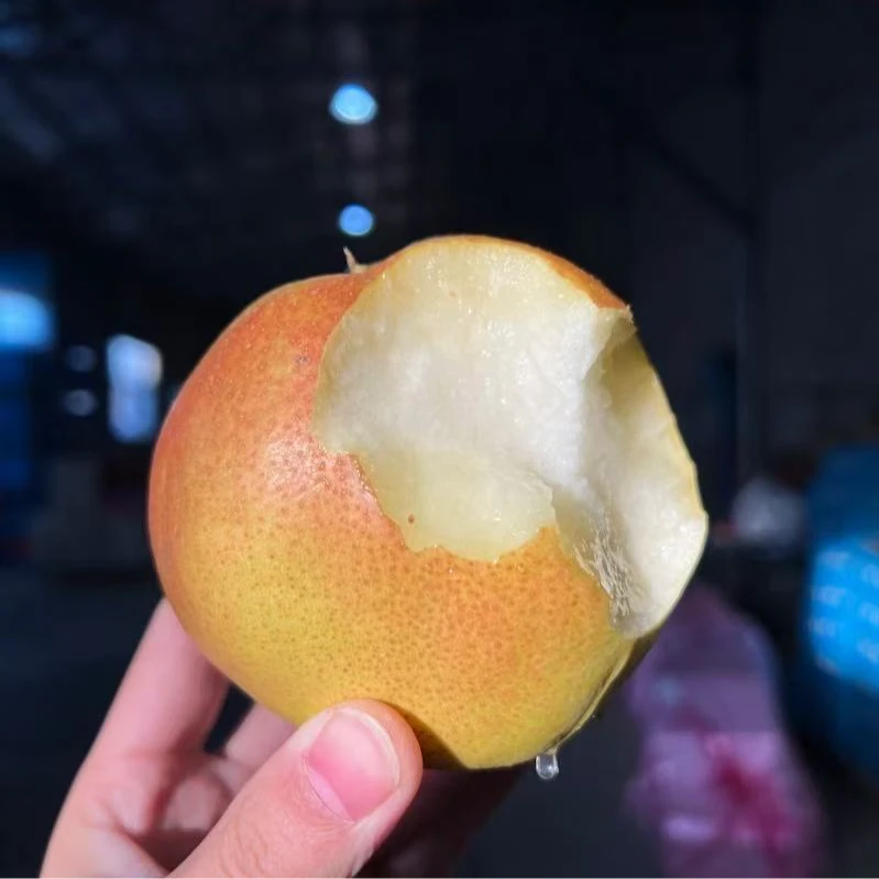 正宗玉露香梨礼盒装-咬一口就爆汁 肉质细嫩一点渣都没得5/10斤