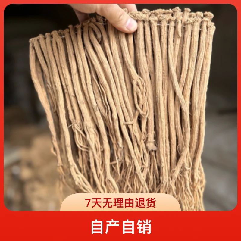 甘肃渭源自家党参中条  泡茶养生