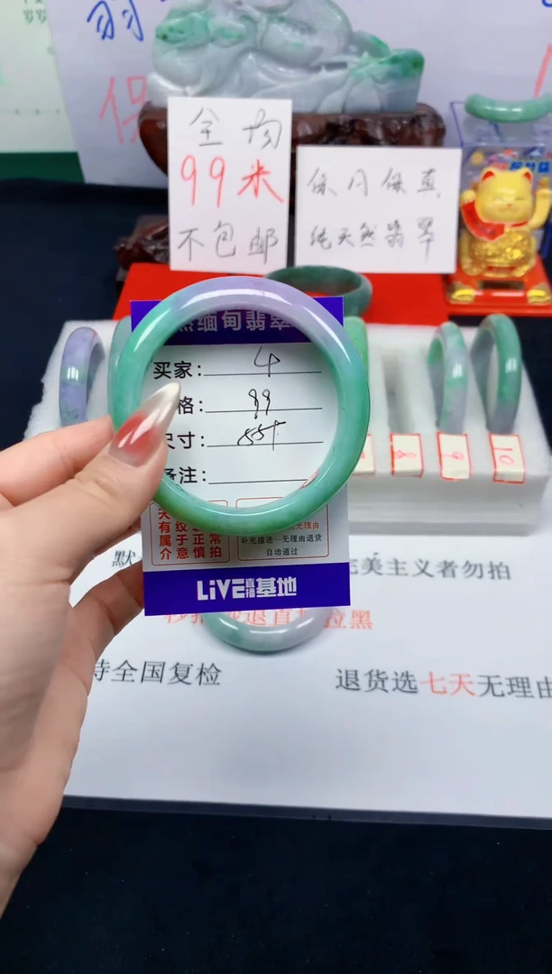 未镶嵌手镯翡翠4