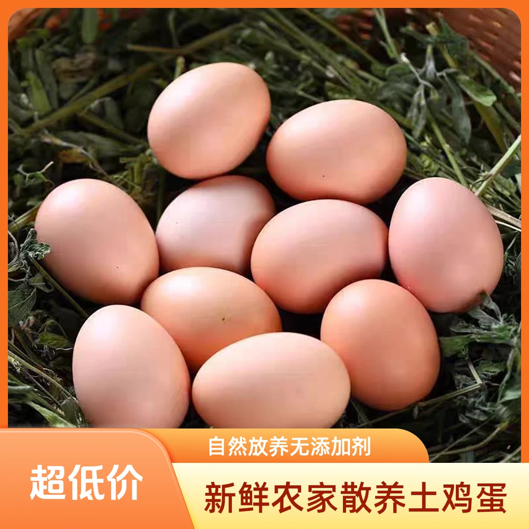 东北粉皮土鸡蛋笨鸡蛋