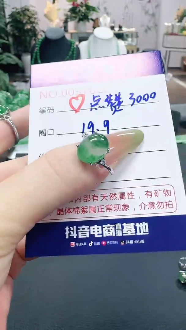 未镶嵌1石英质玉（非洲翠）森**果/7628