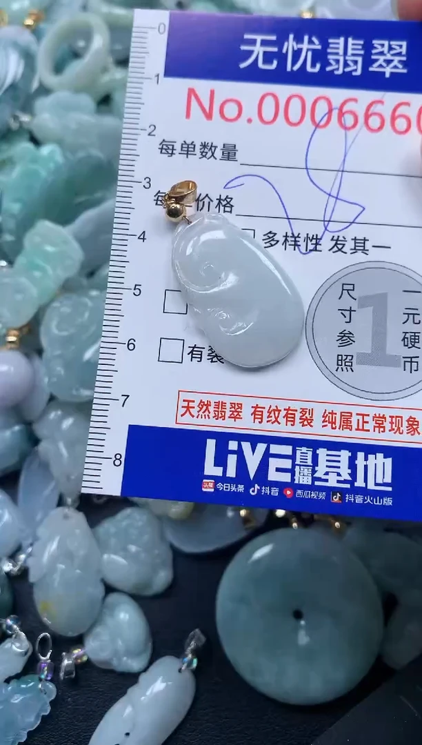 颈饰未镶嵌翡翠6660