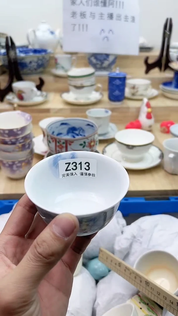 【闪购商品】瓷片313